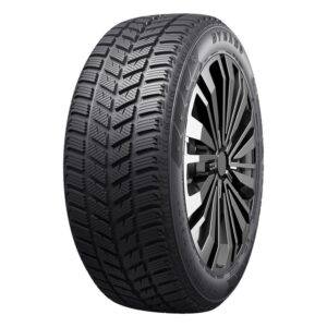 185/55R15 DYNAMO SNOW-H MSL01